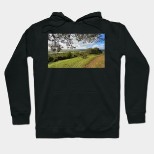 Wotton Ring of Trees Hoodie